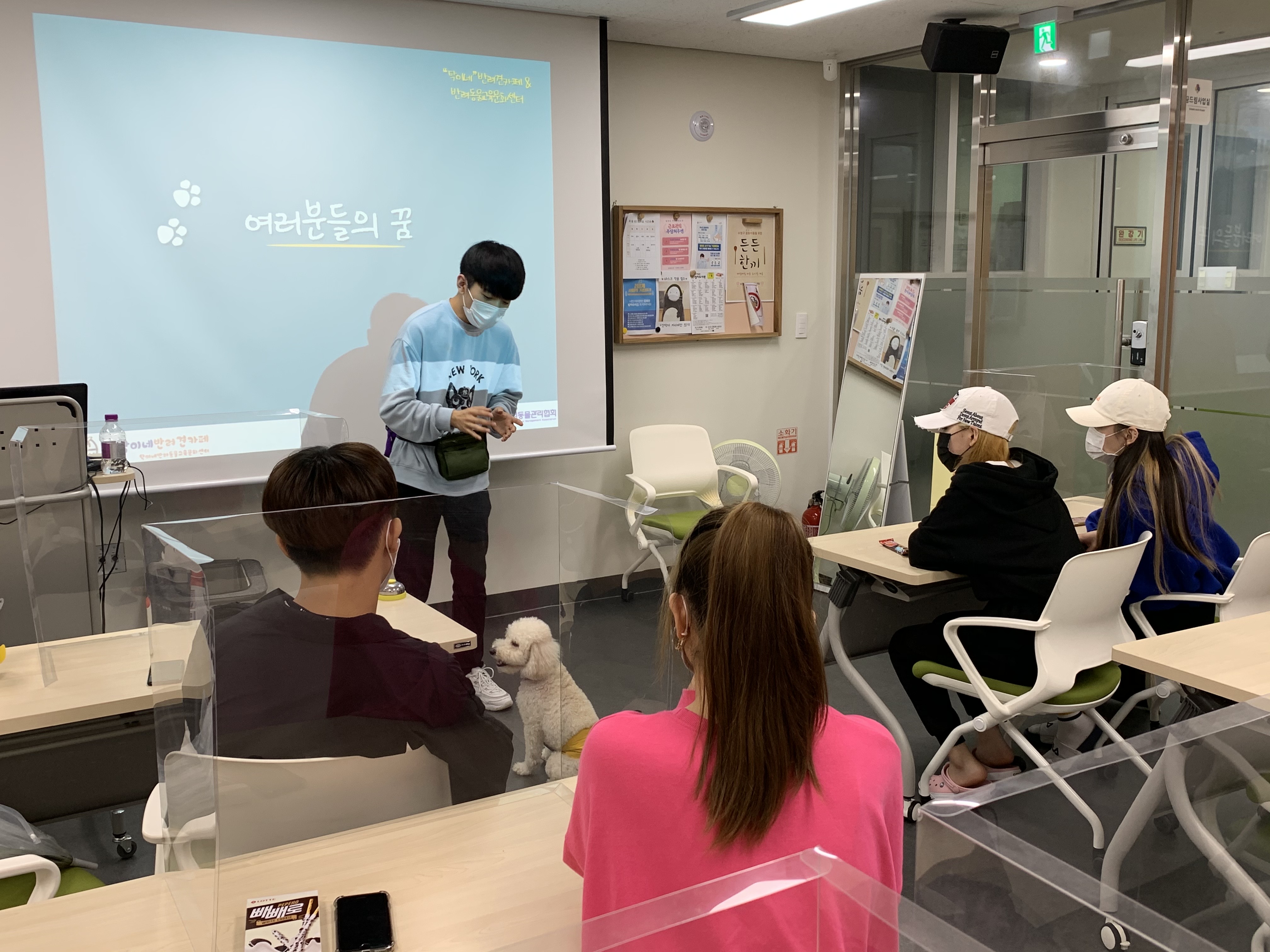 KakaoTalk_20201126_092306188