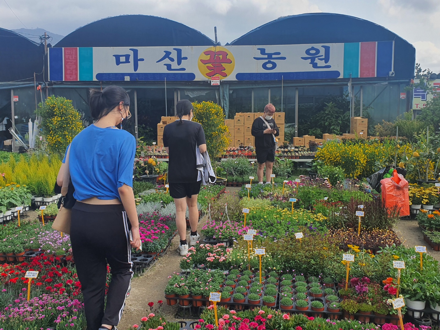 화훼단지