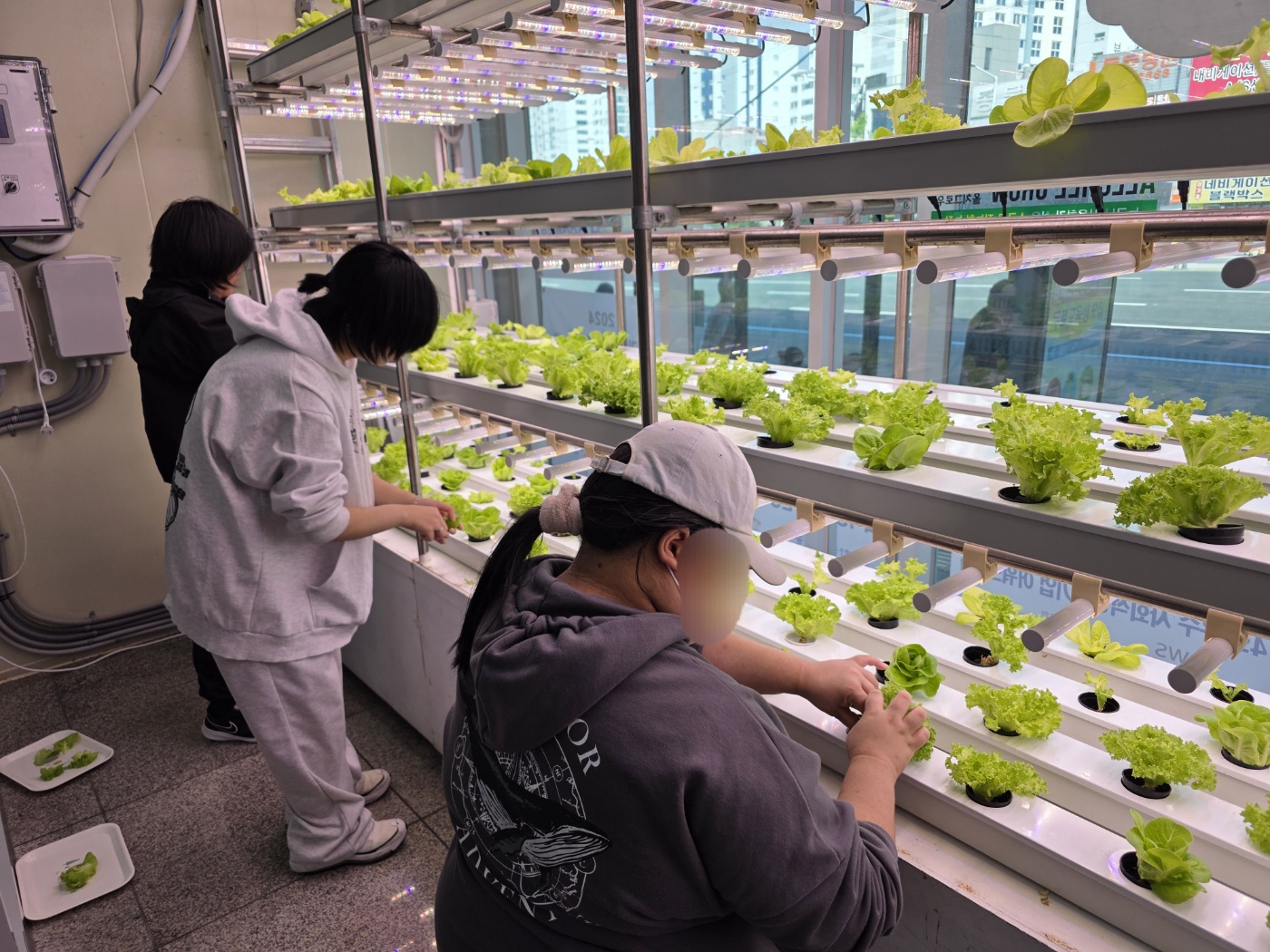 KakaoTalk_20251231_193920607